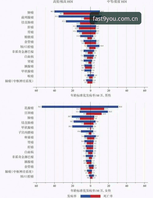 保证每次点开都是最快进入CN站安全吗 保证每次点开都是最快进入CN站安全吗——数据控眼中的访问效率与真实风险对比